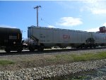 CN 114358 is new to RRPA!